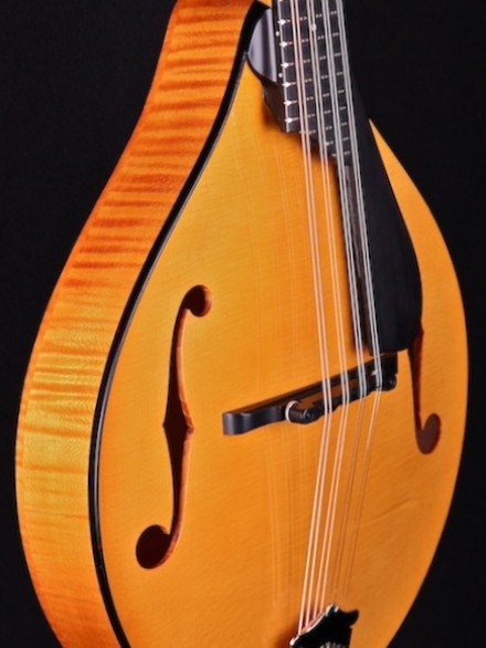 A-STYLE MANDOLIN, AMBER GLOSS TOP W/PICKGUARD, CASE