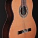 Estudio Series Classical with Cedar and Rosewood