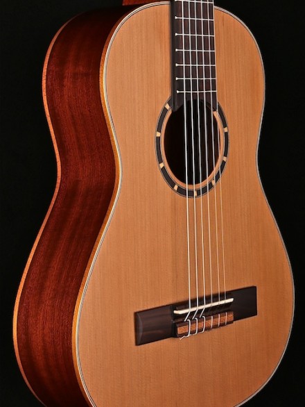 1/2 SIZE CEDAR TOP NYLON STRNG FAMILY SERIES W/GIG BAG