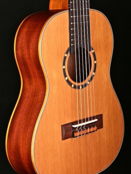 Family Series 1/4 Size Nylon String