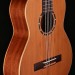 3/4 SIZE CEDAR TOP NYLON STRNG FAMILY SERIES W/GIG BAG