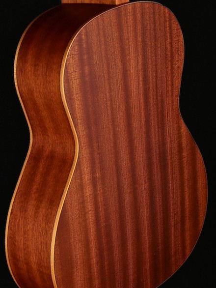 3/4 SIZE CEDAR TOP NYLON STRNG FAMILY SERIES W/GIG BAG