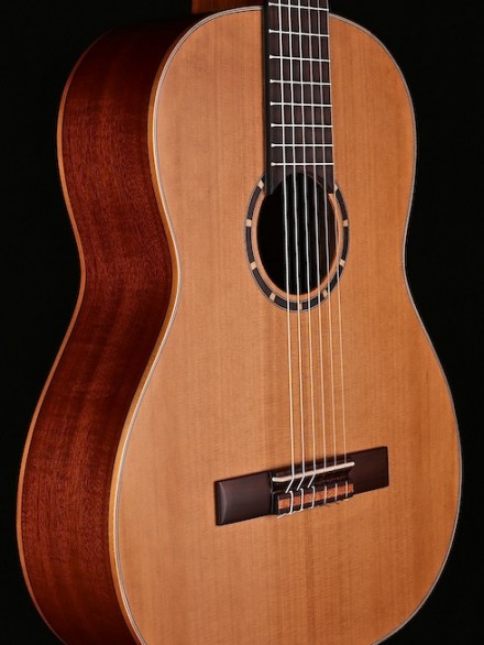 FULL SIZE CEDAR TOP NYLON STR FAMILY SERIES W/GIG BAG