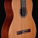 FULL SIZE CEDAR TOP NYLON STR FAMILY SERIES W/GIG BAG