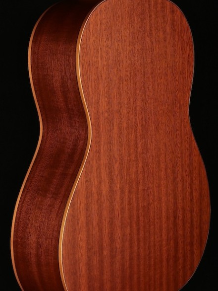 FULL SIZE CEDAR TOP NYLON STR FAMILY SERIES W/GIG BAG