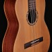 7/8 SIZE CEDAR TOP NYLON STRNG FAMILY SERIES W/GIG BAG