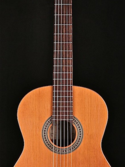 Artist Series Classical with Solid Cedar Top