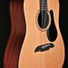 Artist Series Dreadnought with Solid Spruce Top