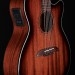 Artist Series Mahogany Folk Cutaway with Pickup