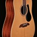 Artist Series Dreadnought with Solid Spruce Top