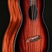 Artist Series All Mahogany Parlor with Shadowburst