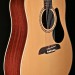 Regent Series Dreadnought with Mahogany and Spruce