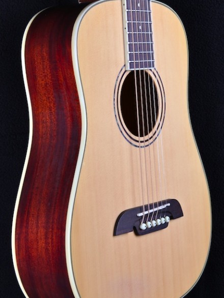 Regent Series Travel Sized Dreadnought