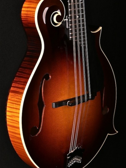 F-STYLE, SUNBURST GLOSSED TOP, IVOROID BINDING, PICKGUARD